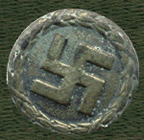 Nazi-Pin